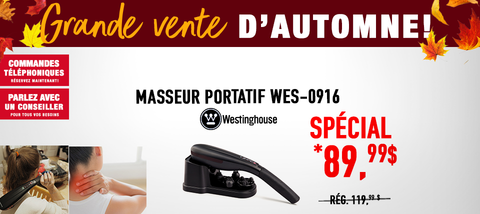 Masseur portatif WES-0916