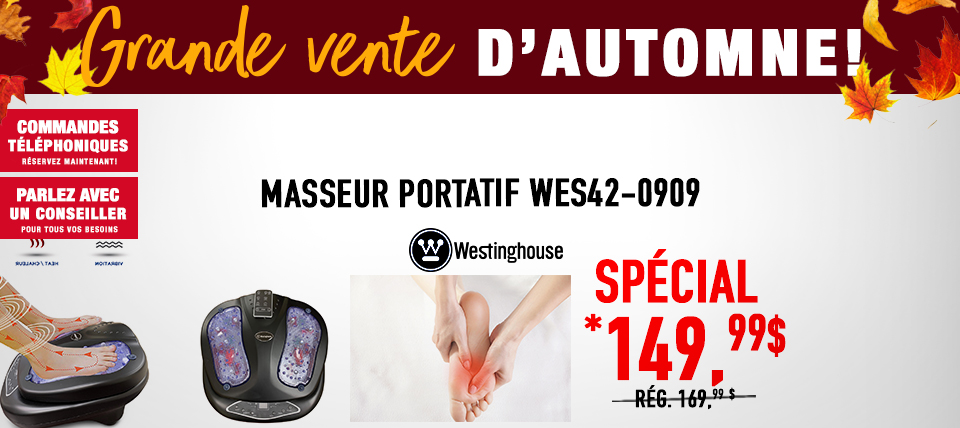 Masseur portatif WES42-0909
