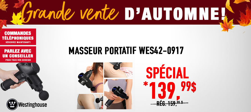 Masseur portatif WES42-0917