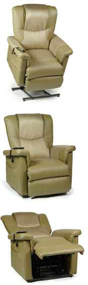 Fauteuil Auto-Souleveur T-165 de Ergo